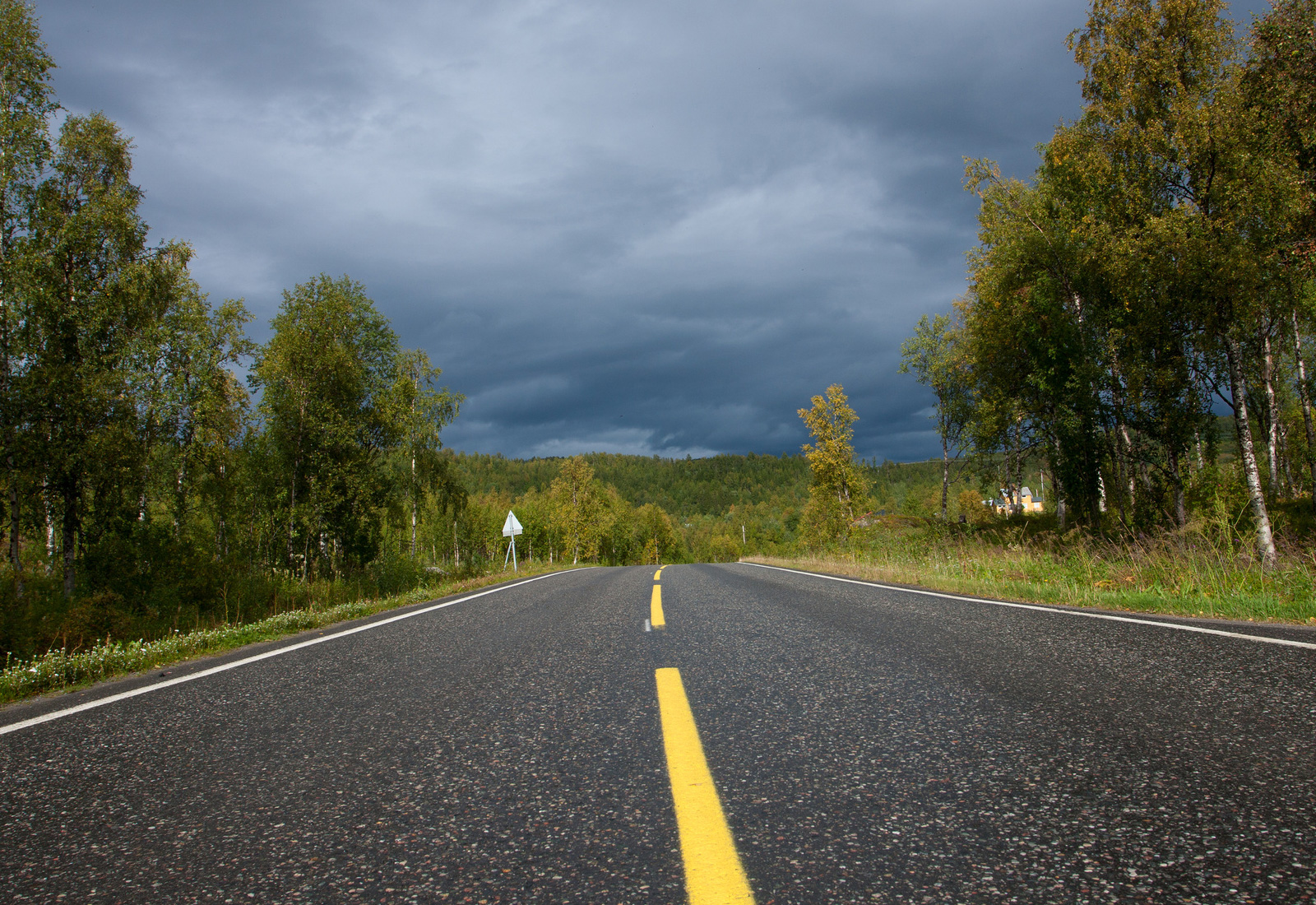 carreteraSERVICIOS
    